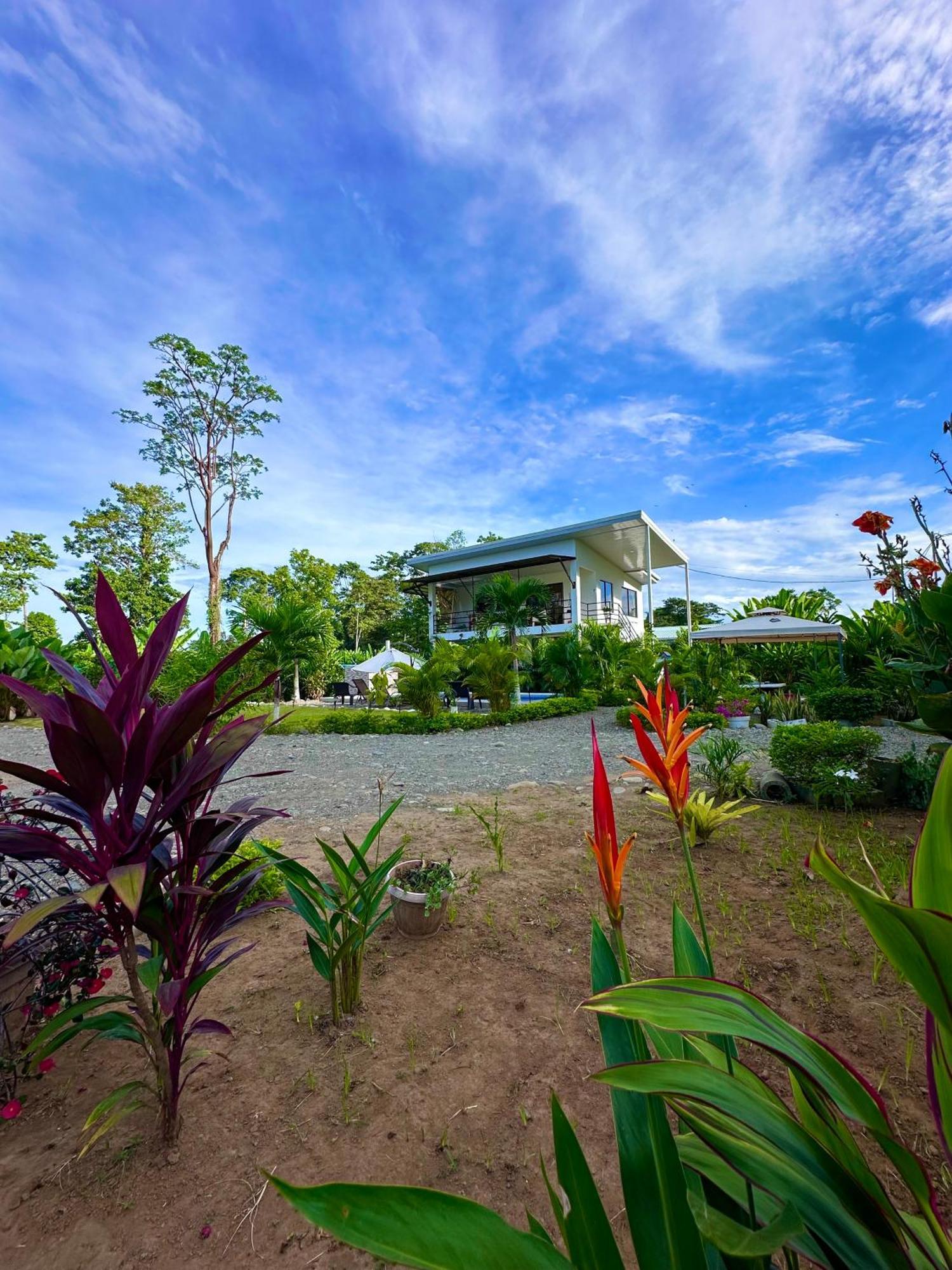 Oso Perezoso Pool Villa Puerto Viejo de Talamanca Esterno foto