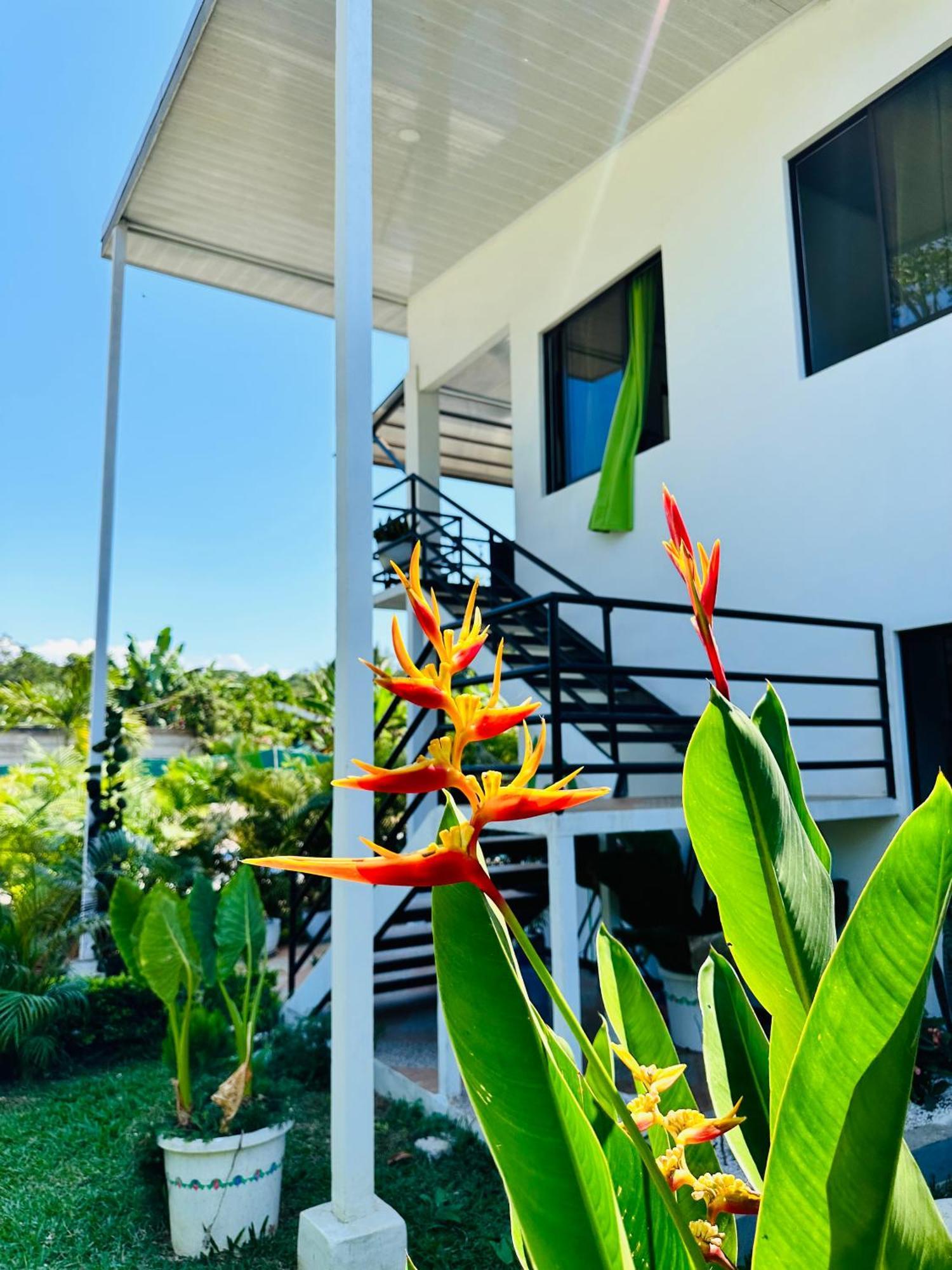Oso Perezoso Pool Villa Puerto Viejo de Talamanca Esterno foto