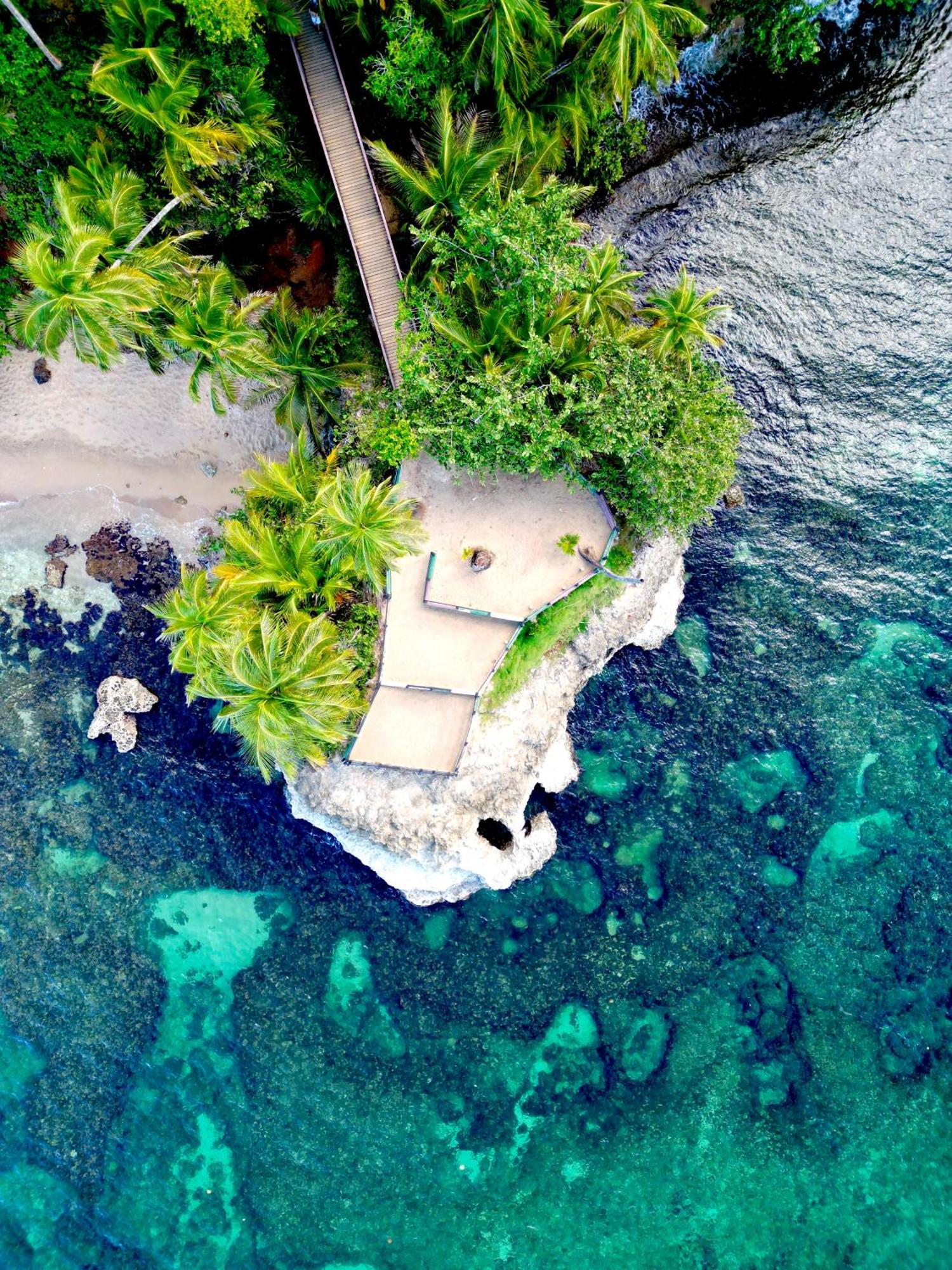 Oso Perezoso Pool Villa Puerto Viejo de Talamanca Esterno foto